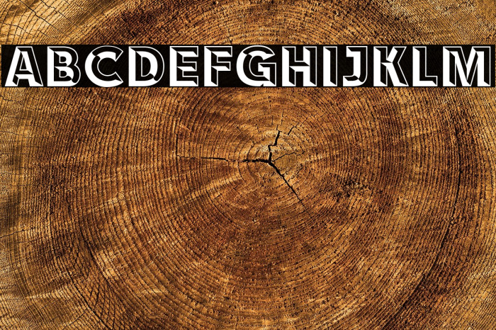 RACE1 Brannt Chiseled NCV Example 2