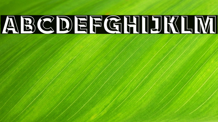 RACE1 Brannt Chiseled NCV Example 3