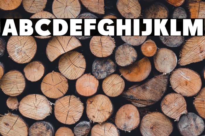 RACE1 Brannt NCV Example 2