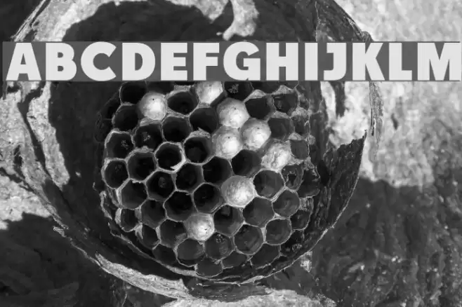 RACE1 Brannt NCV Font examples