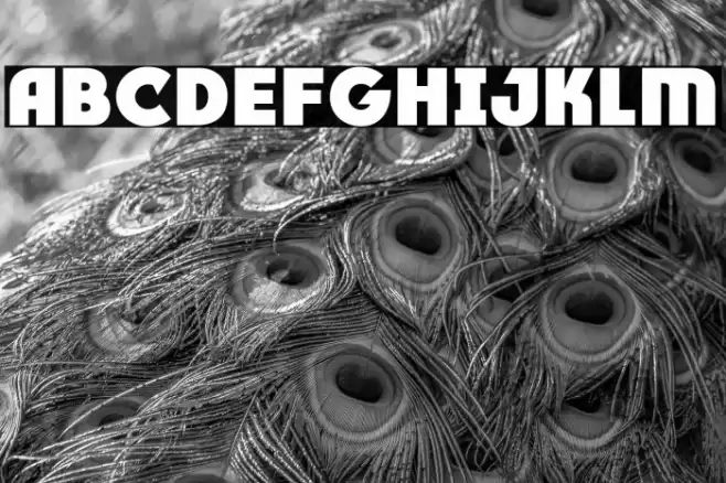 RACE1 Brannt Plus NCV Font examples