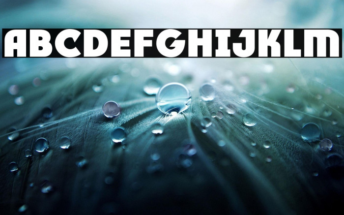 RACE1 Brannt Plus NCV Example 2