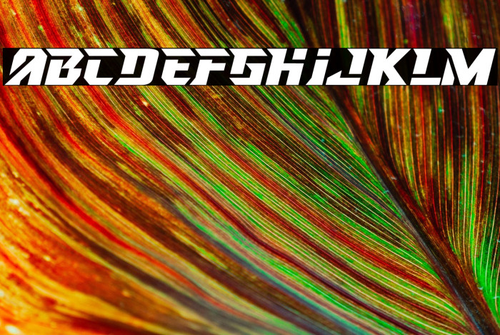 RACING HARD Example 2