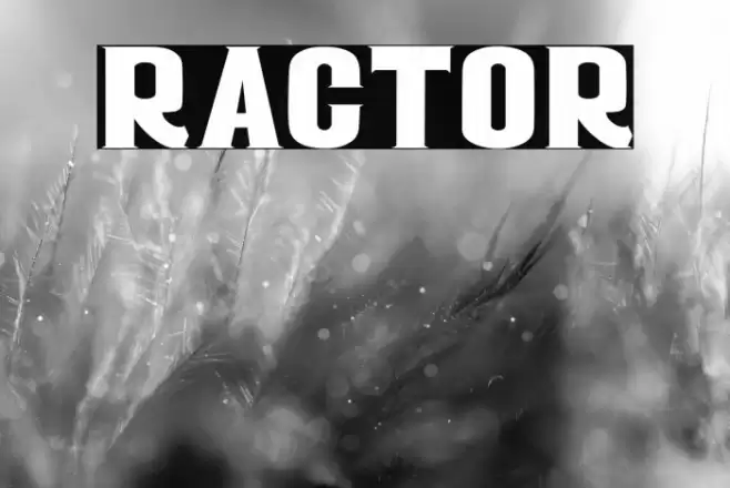 RACTOR Font examples