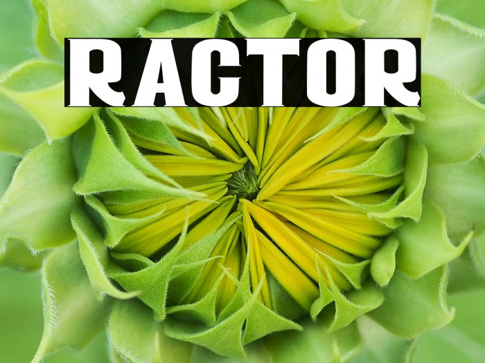 RACTOR Example 2