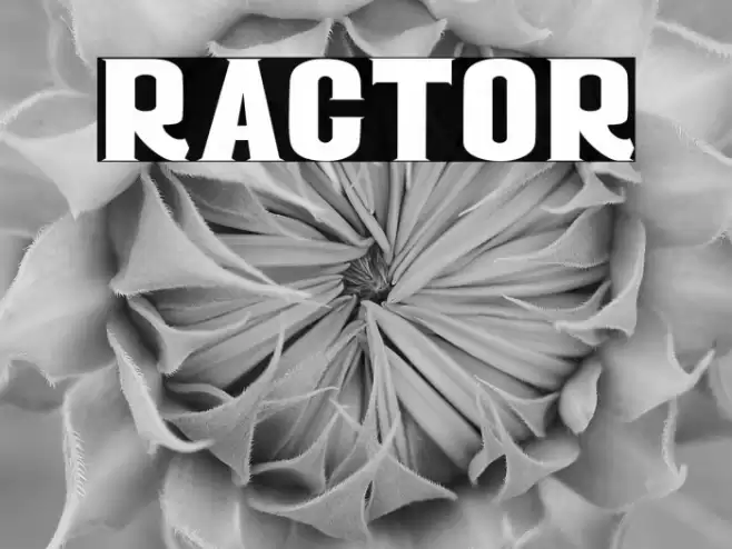RACTOR Font examples