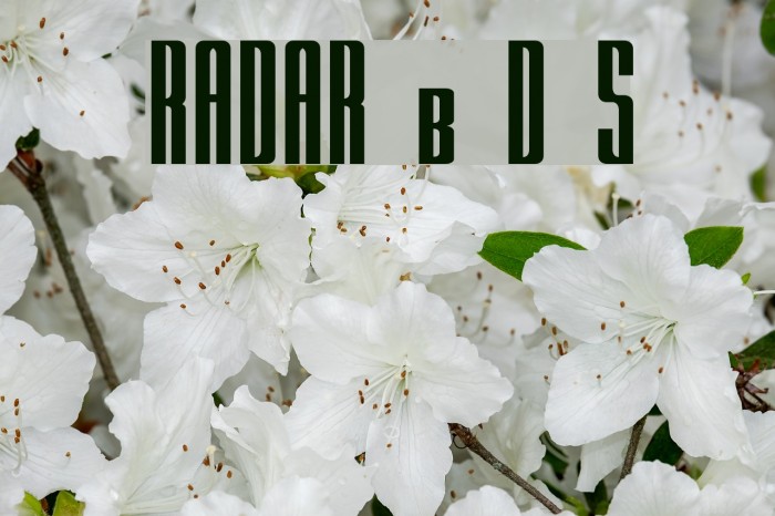 RADAR by Doug Sheets Font examples