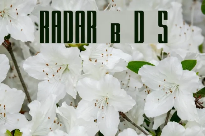 RADAR by Doug Sheets Example 1