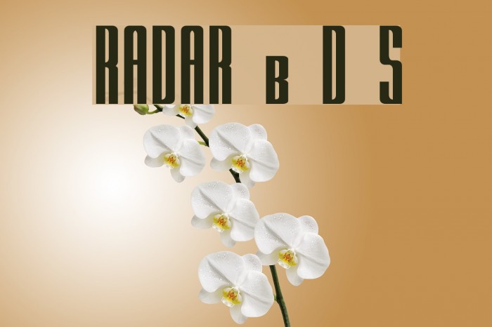 RADAR by Doug Sheets Font examples