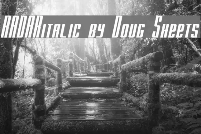 RADARitalic by Doug Sheets Font examples