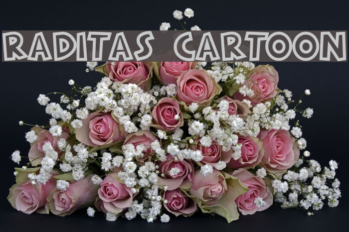 RADITAS CARTOON Font examples