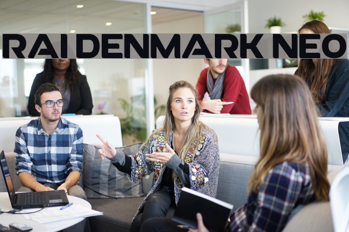 RAI Denmark Neo Font examples