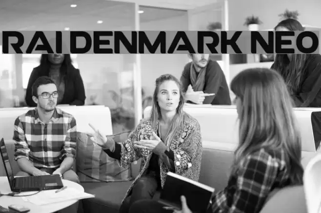 RAI Denmark Neo フォント examples