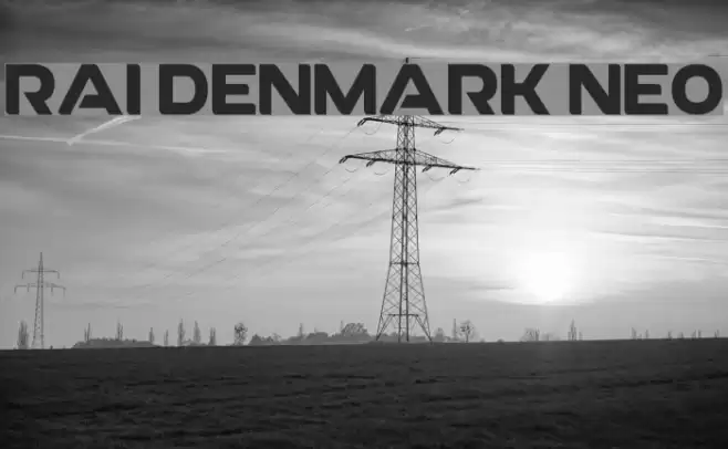 RAI Denmark Neo フォント examples