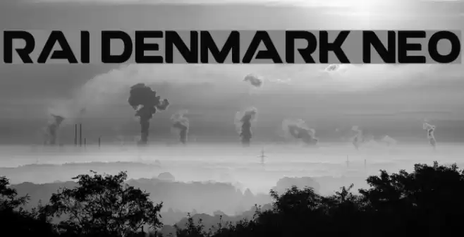 RAI Denmark Neo フォント examples