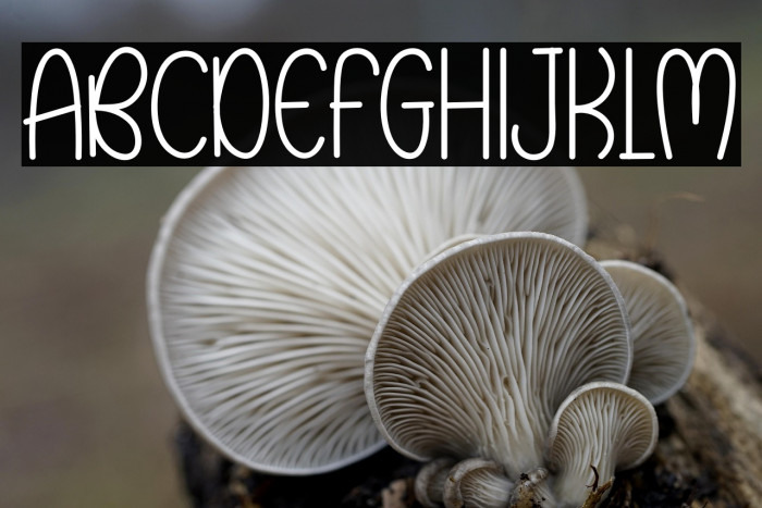 RAINBOW BUTTERFLY Example 3