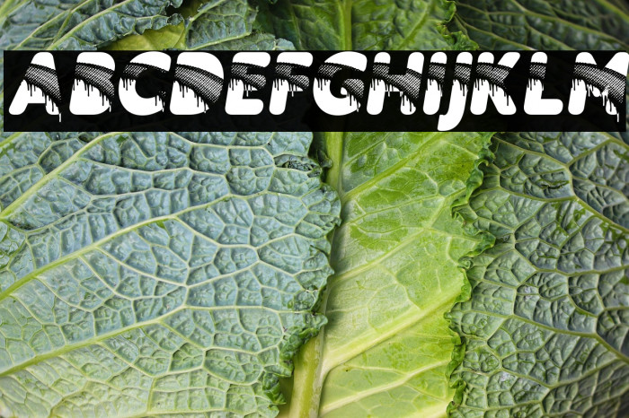 RAINBOWDROPS PERSONAL USE Bold Italic Example 1