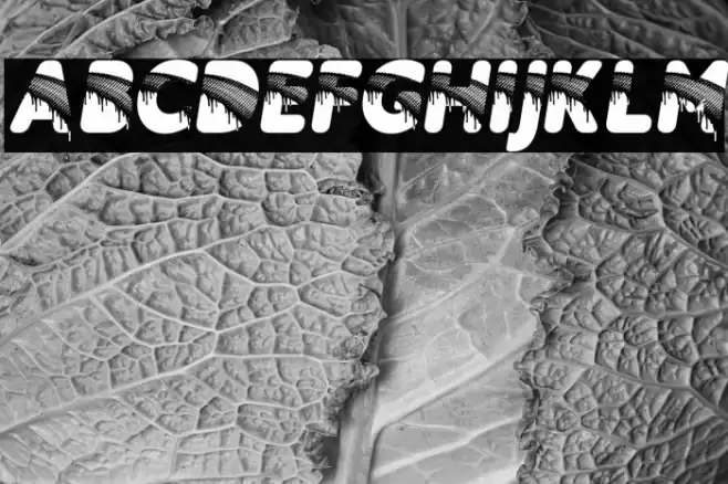 RAINBOWDROPS PERSONAL USE Bold Italic Caratteri examples