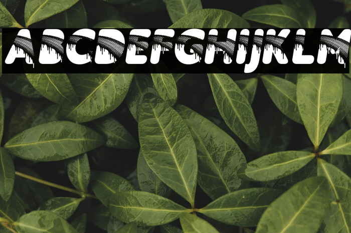 RAINBOWDROPS PERSONAL USE Bold Italic Example 2