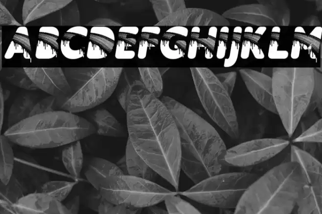 RAINBOWDROPS PERSONAL USE Bold Italic Caratteri examples