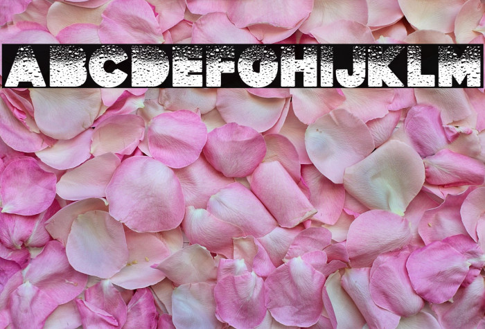 RAINED PERSONAL USE Regular Example 2