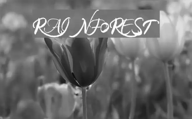 RAINFOREST फ़ॉन्ट examples