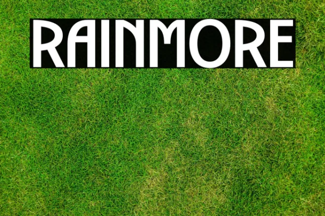 RAINMORE Example 2