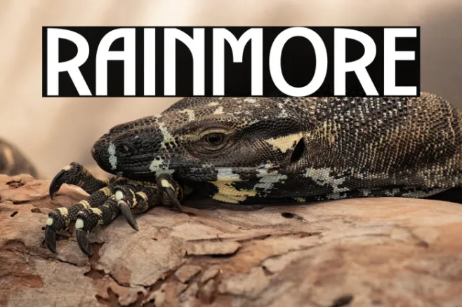 RAINMORE Example 3