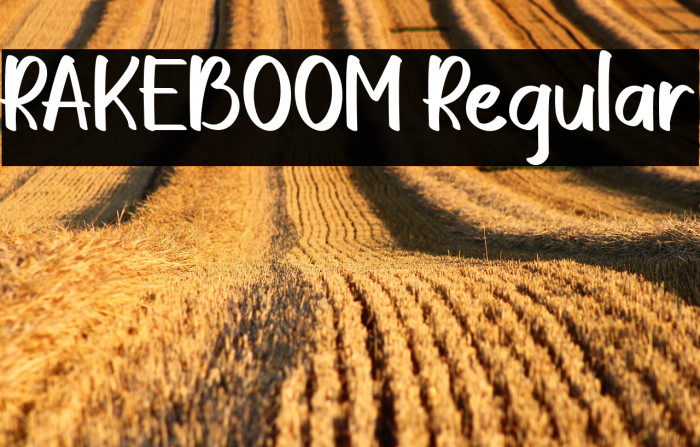 RAKEBOOM Regular Example 1