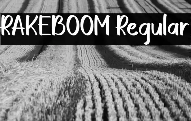 RAKEBOOM Regular Font examples