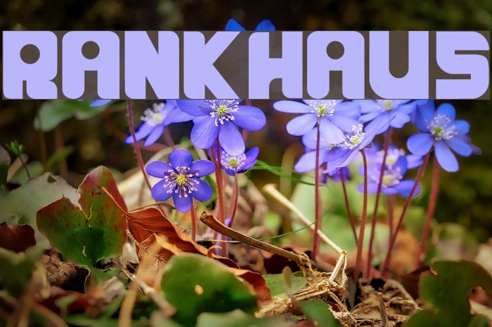 RANKHAUS Font examples