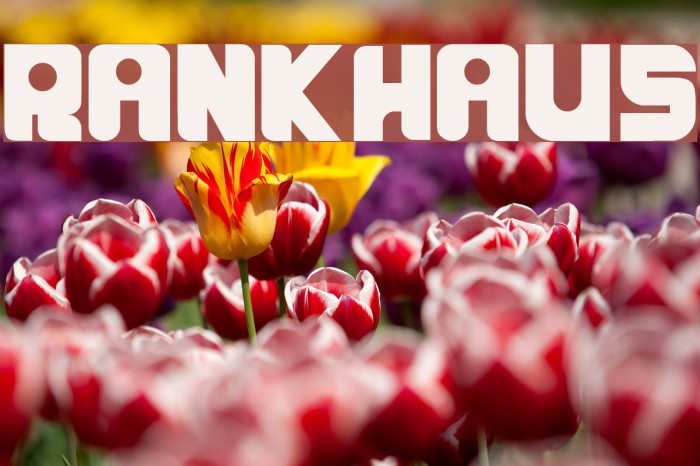 RANKHAUS Font examples