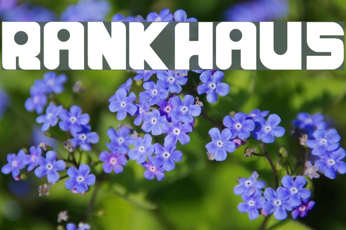 RANKHAUS Font examples