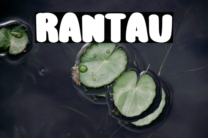 RANTAU Example 3