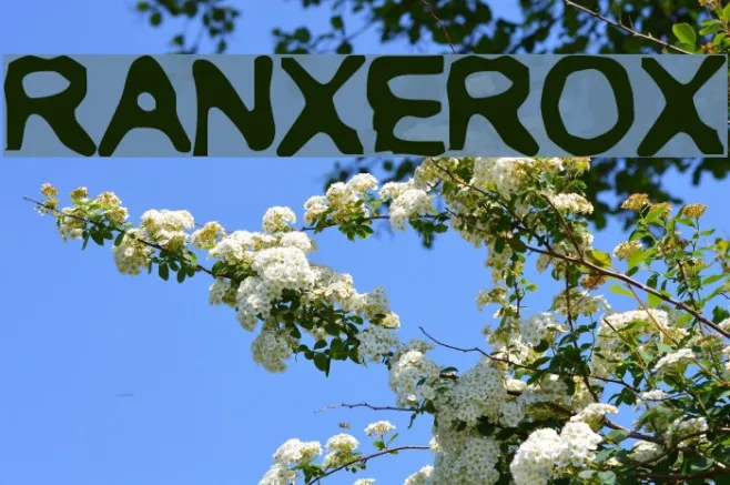 RANXEROX Example 2