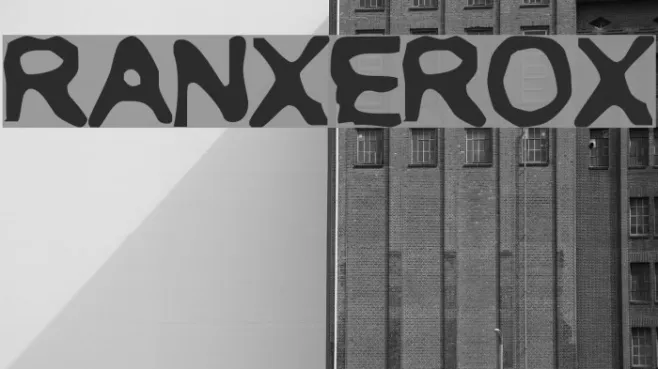 RANXEROX Example 3