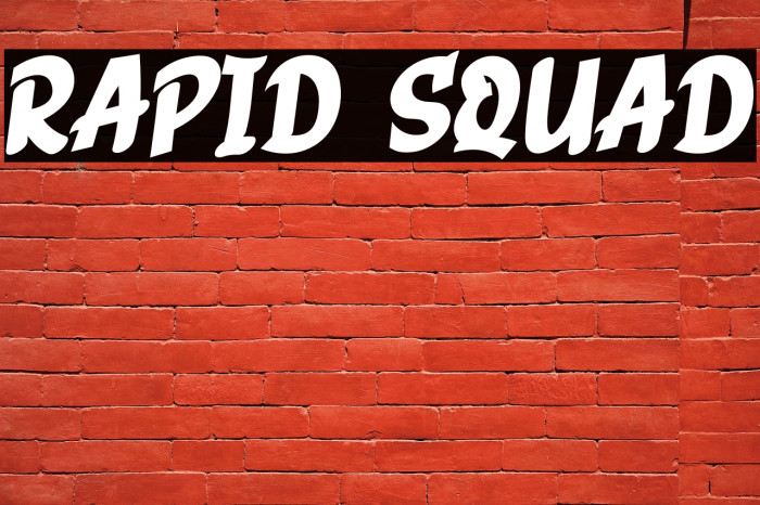 RAPID SQUAD Example 1