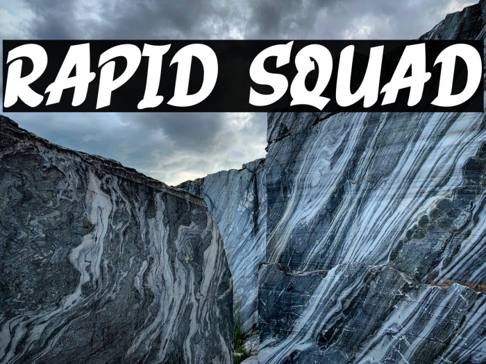 RAPID SQUAD Example 2