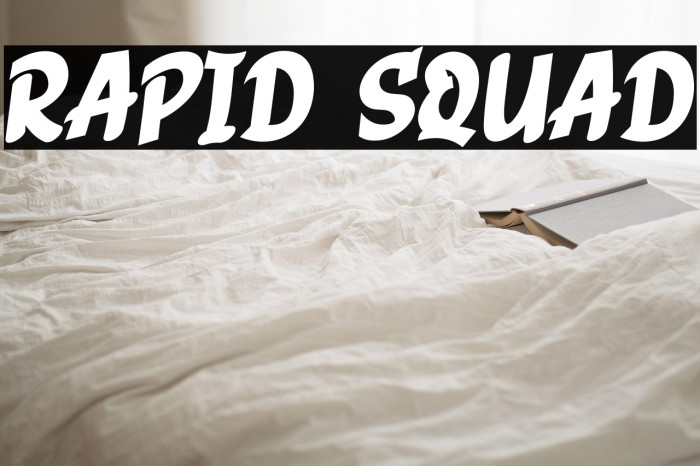 RAPID SQUAD Example 3