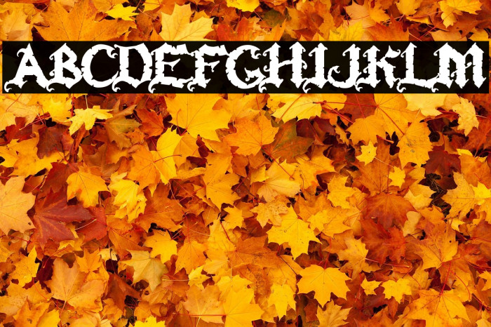 RAPSCALL خط examples