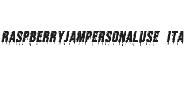 RASPBERRYJAMPERSONALUSE-Ita Logo