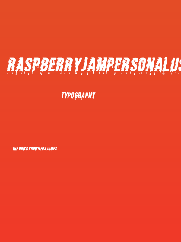 RASPBERRYJAMPERSONALUSE-Ita Poster