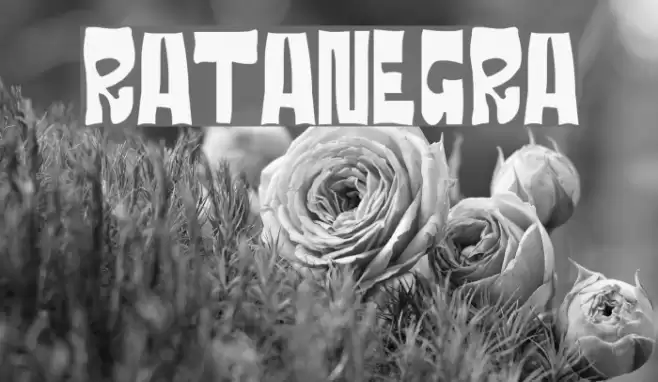 RATANEGRA Fuentes examples