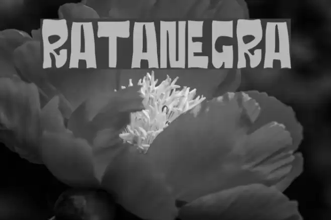 RATANEGRA Fuentes examples