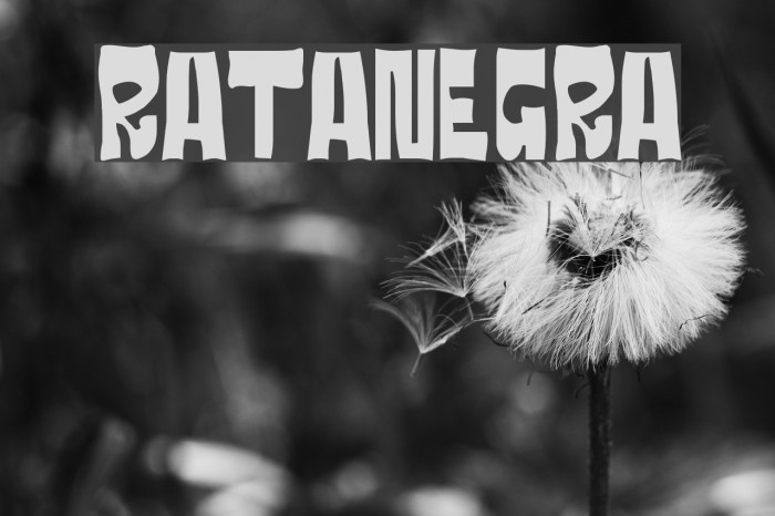 RATANEGRA Fuentes examples