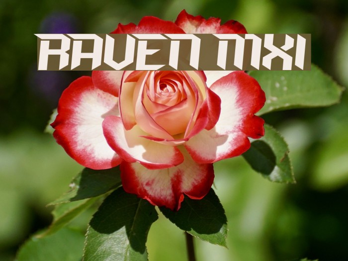 RAVEN MXI Fonte examples