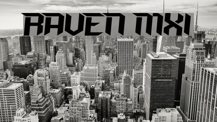 RAVEN MXI Fonte examples