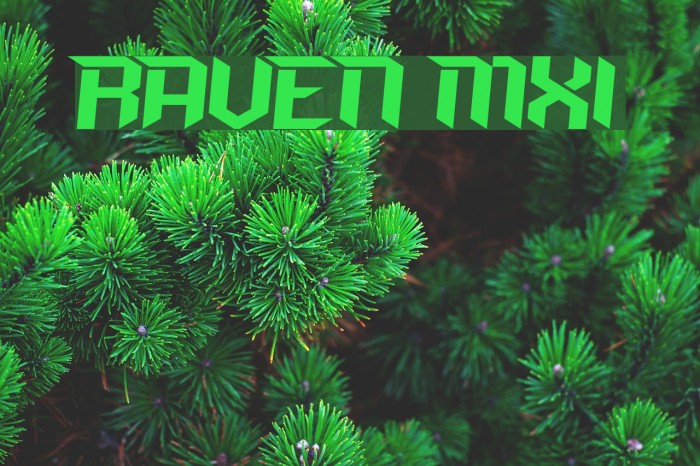 RAVEN MXI Fonte examples