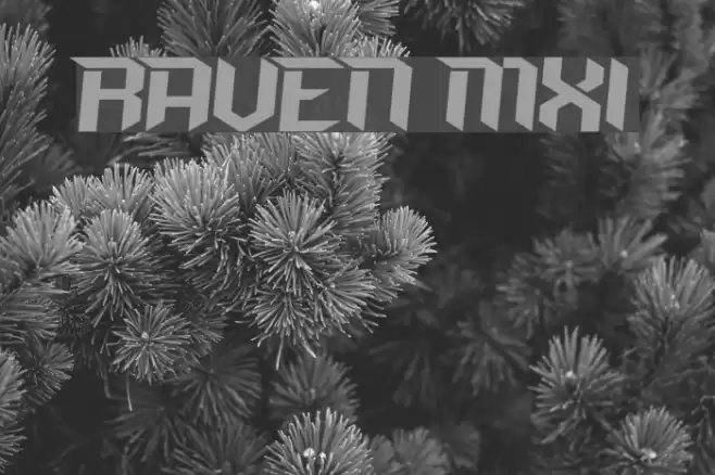 RAVEN MXI Font examples
