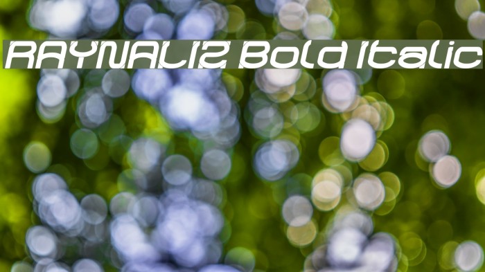 RAYNALIZ Bold Italic Example 3